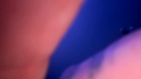 drippinggenie online show from January 23, 3:32 pm