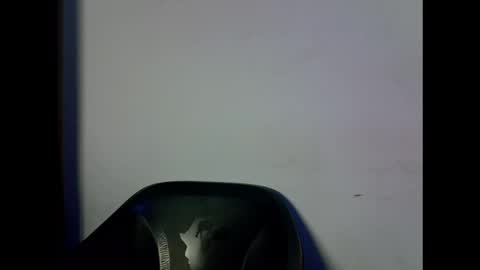 Snapshot of drippingpussy_ chatting on October 14, 2:01 am drippingpussy_ online show from October 14, 2:01 am
