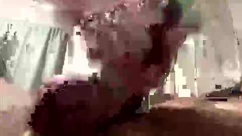 droppingloads82 online show from March 8, 9:13 am