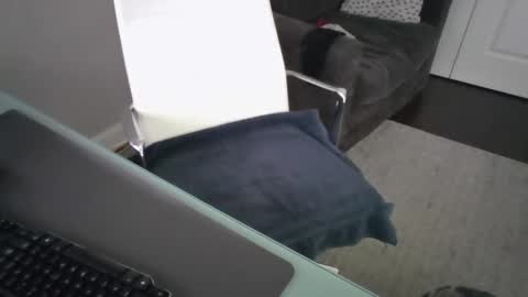 Snapshot of ds689655 chatting on September 26, 8:24 pm ds689655 online show from September 26, 8:24 pm