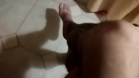 dthedog12 online show from September 30, 8:58 pm