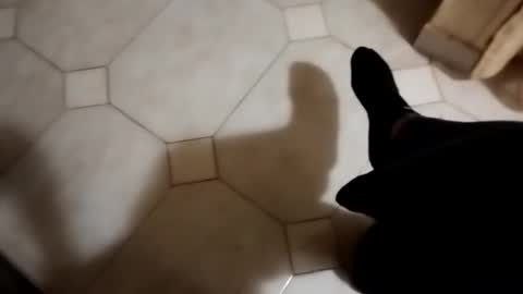 dthedog12 online show from October 22, 1:50 am