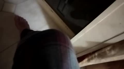 dthedog12 online show from November 6, 12:55 am