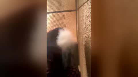 Snapshot of dtxtrophy chatting on April 4, 7:28 am Dtx Trophy online show from April 4, 7:28 am