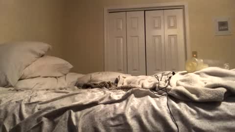 ducebabydee online show from December 19, 10:11 am