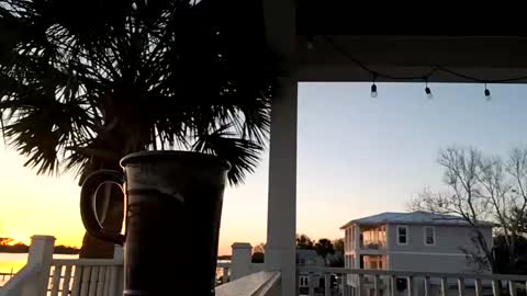 duke_lordly online show from March 11, 11:26 pm