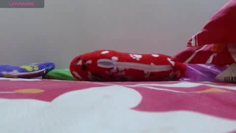 Snapshot of dulce_mmaria chatting on November 24, 2:17 pm dulce online show from November 24, 2:17 pm