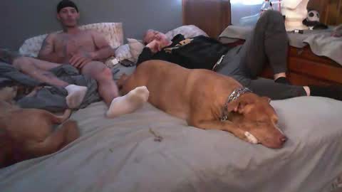 Snapshot of dustinwyant1983 chatting on November 8, 7:12 pm dustinwyant1983 online show from November 8, 7:12 pm