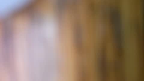 Snapshot of dvelope chatting on September 10, 9:42 am dVe1oPe online show from September 10, 9:42 am