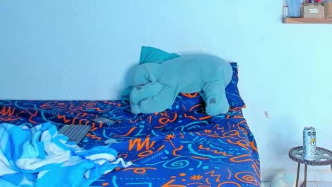 Dylan online show from February 20, 6:26 am