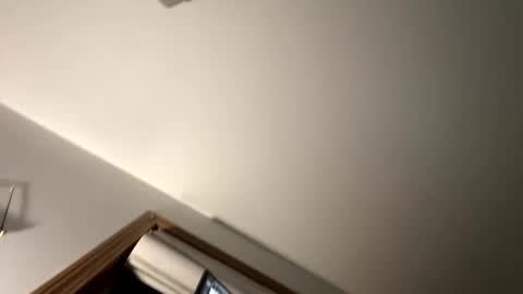 Snapshot of dylareus96 chatting on February 23, 1:13 am dylareus96 online show from February 23, 1:13 am