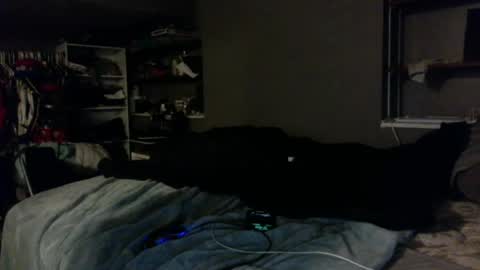 Snapshot of dynasty801 chatting on October 23, 8:46 am nastyboi801 online show from October 23, 8:46 am