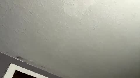 Snapshot of dynasty801 chatting on November 27, 8:05 am nastyboi801 online show from November 27, 8:05 am