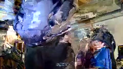 Dywrect online show from February 15, 8:16 pm