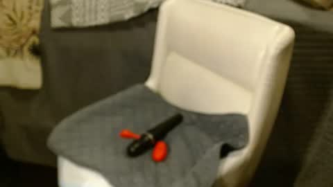 Six online show from January 23, 1:24 pm