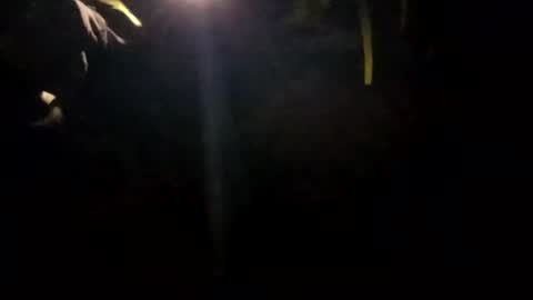 Snapshot of edmore1215 chatting on January 14, 10:17 am edmore1215 online show from January 14, 10:17 am