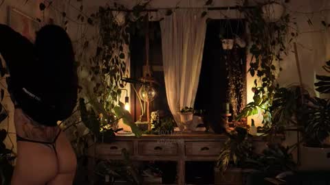 Effy online show from November 11, 12:10 am