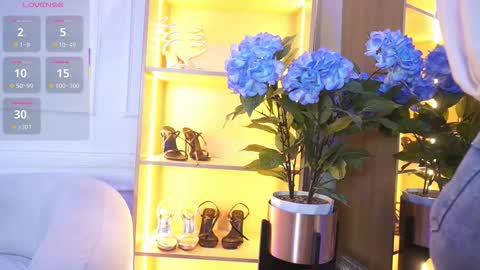 Elasummeer online show from November 17, 12:00 pm