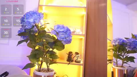 Elasummeer online show from November 20, 11:54 am