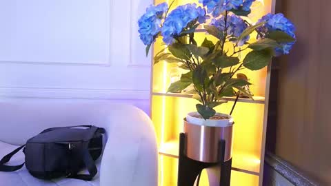 Elasummeer online show from January 13, 11:48 am