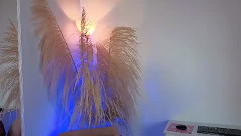 Elecktra online show from June 24, 7:24 pm