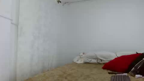 Snapshot of elektratattoo chatting on September 16, 4:24 am elektra online show from September 16, 4:24 am