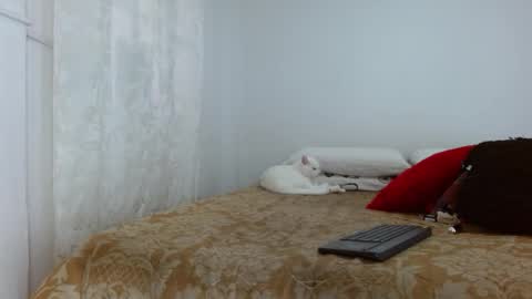 Snapshot of elektratattoo chatting on October 30, 4:08 pm elektra online show from October 30, 4:08 pm