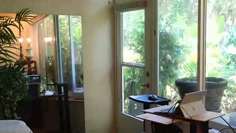 eliberator online show from June 13, 3:32 pm