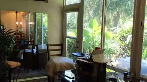 eliberator online show from June 28, 6:36 pm
