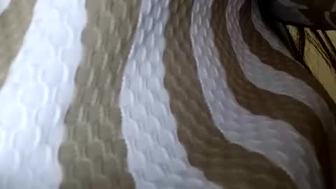 Snapshot of elina_roy03 chatting on December 1, 2:38 am elina_roy03 online show from December 1, 2:38 am