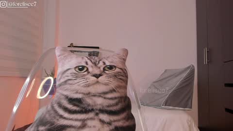 Eli online show from December 7, 7:16 am