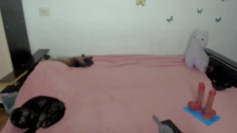 Elsa online show from May 1, 6:23 pm