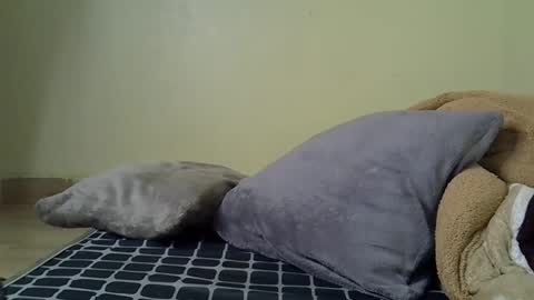 Snapshot of elvier_pretty chatting on December 20, 4:41 am flo online show from December 20, 4:41 am