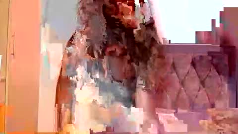 Elysey online show from September 24, 6:39 am