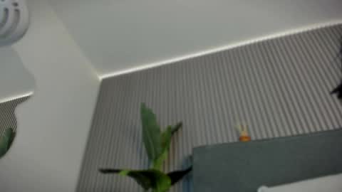 emelie_89 online show from June 6, 11:48 am