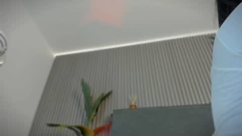 emelie_89 online show from July 15, 11:48 am