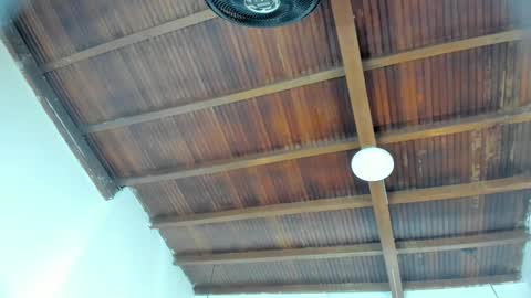 Emily  online show from February 4, 11:05 am