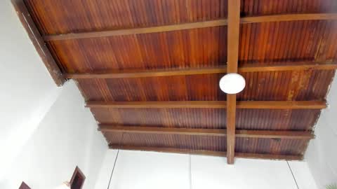 Emily  online show from February 21, 11:00 am