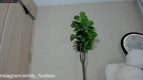 Snapshot of emily_huddson_ chatting on June 30, 9:49 pm independet model online show from June 30, 9:49 pm