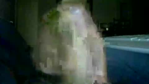 encormoi online show from November 14, 8:46 am