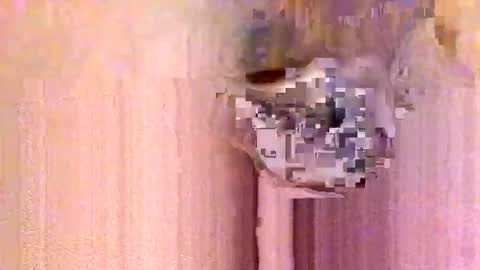 take it easy online show from January 13, 12:54 pm