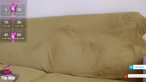 Snapshot of erikabird chatting on January 2, 3:51 pm ErikaBird online show from January 2, 3:51 pm