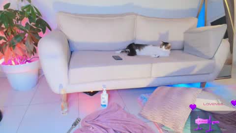TINY  online show from June 29, 10:15 am