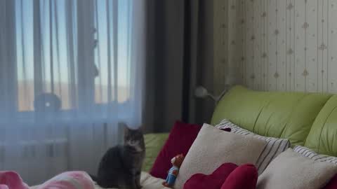 Estella online show from February 3, 6:22 am