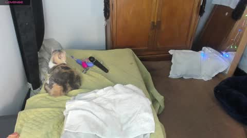 Snapshot of estrellah__ chatting on January 7, 4:50 am - E S T R E L L A  M I L F - online show from January 7, 4:50 am