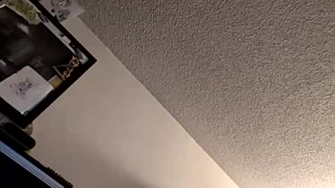 et528007 online show from November 7, 5:07 am