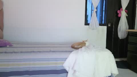 Eva Sin online show from June 12, 11:25 pm