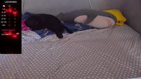 Eva online show from February 20, 12:57 pm