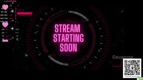Snapshot of evarose_xo chatting on December 21, 10:00 am Eva before eva69muler online show from December 21, 10:00 am
