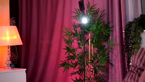 Evelyn online show from February 5, 7:31 pm